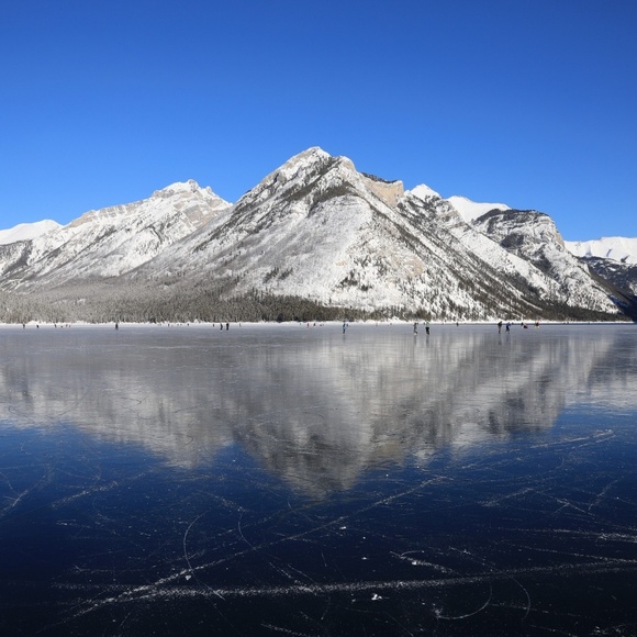 Meet your Posher, Rosa - Picture 1 of 1